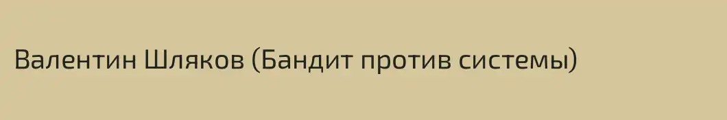 Валентин Шляков (Бандит против системы)